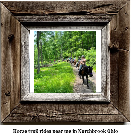 horse trail rides near me in Northbrook, Ohio